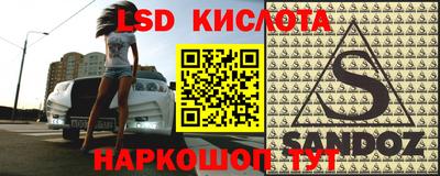 apvp Свободный
