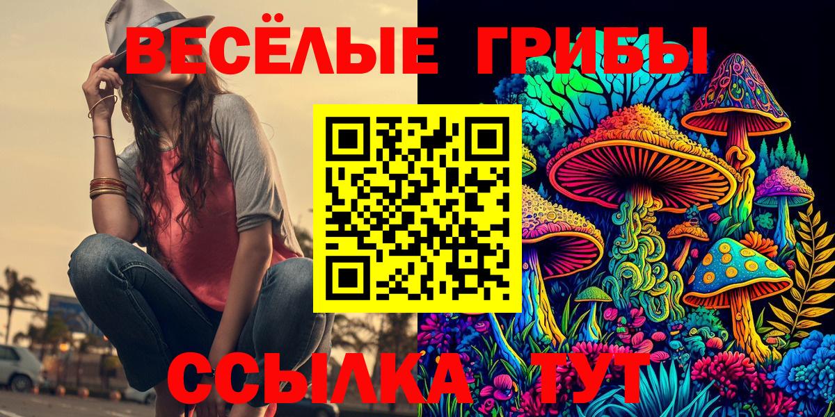 Галлюциногенные грибы MAGIC MUSHROOMS  закладки  Можга  Галлюциногенные грибы прущие грибы  Вход с VPN 