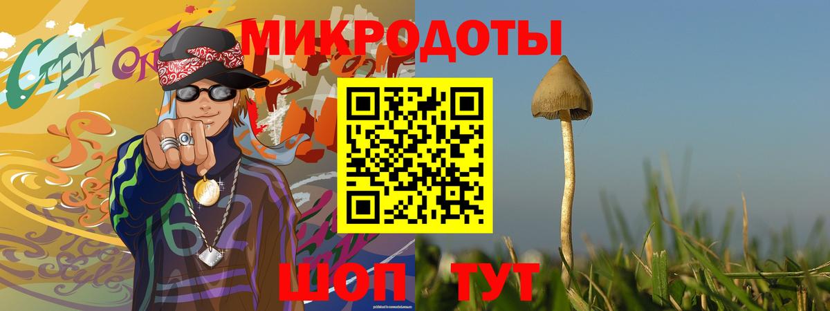 Галлюциногенные грибы Cubensis Можга